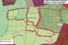 Владимирцев просят высказаться о строительстве лыжной трассы в «Дружбе»