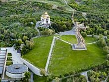Деревья в "Парке вдов" пустили на дрова