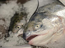 Российские ритейлеры подписали обязательство не торговать фальсификатом