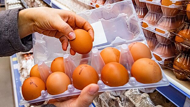 В РАНХиГС рассказали, как повлияют на рынок поставки яиц из Турции