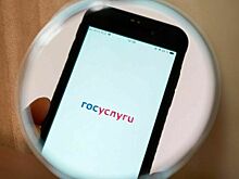 Возможности сбора подписей на региональных выборах через портал госуслуг могут расширить