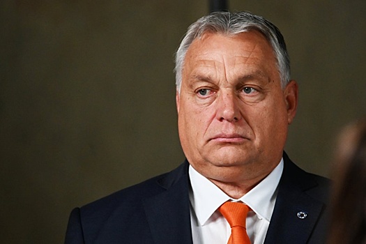 Как "чашка кофе" для Орбана условно приблизила Украину к ЕС