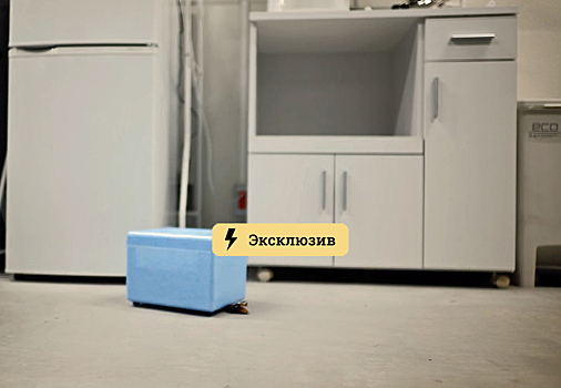 Как заставить соседей и коммунальщиков избавиться от тараканов? Рассказал юрист