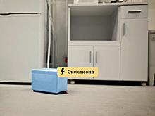 Как заставить соседей и коммунальщиков избавиться от тараканов? Рассказал юрист