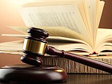 Осужден квартирный вор, промышлявший в Тимирязевском