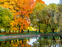 Ряд мер по борьбе с COVID-19 будет действовать в Москве после 8 ноября