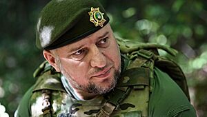 Алаудинов отметил сокращение числа иностранных наемников в рядах ВСУ