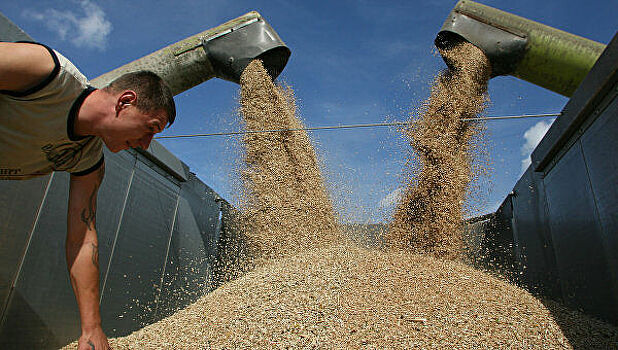 Власти ввели плавающую пошлину на экспорт зерна