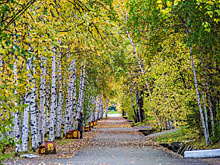 В Амурской области фиксируют рекорды теплой погоды