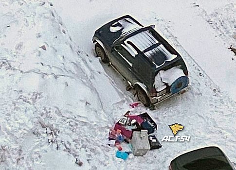 В Новосибирске был вскрыт и ограблен грузовик с посылками OZON