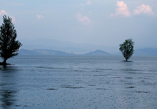 Наводнение на Дальнем Востоке: пострадало 145 населенных пунктов