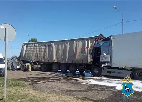 Нарушил дистанцию: 29 мая в Самарской области в ДТП с двумя фурами погиб человек