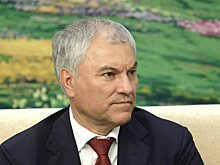 Вячеслав Володин: в ГД пройдет презентация китайской провинции Цзилинь