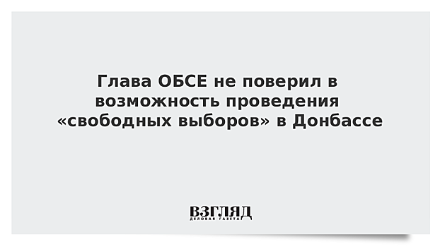 Глава ОБСЕ не поверил в возможность проведения «свободных выборов» в Донбассе