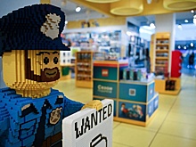 "Гомосячьи игрушки": в Lego ответили на критику продукции депутатом Госдумы