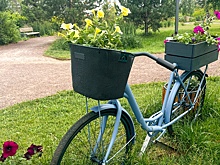 Как сделать клумбу своими руками: идеи, схемы и пошаговая инструкция