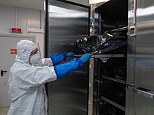 В Тюмени медикам доплатят за работу с ковид-пациентами