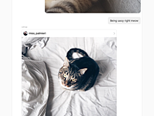 Instagram вышел для планшетов на Windows 10