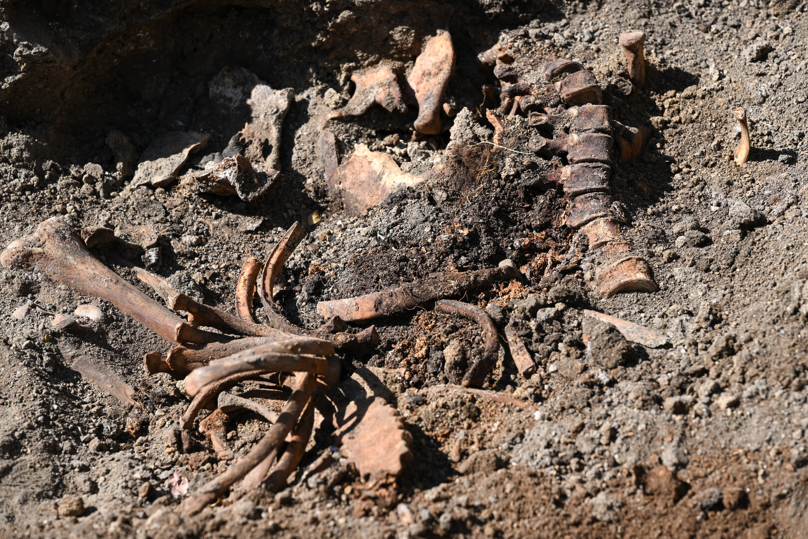 Почему пропали хоббиты: ученые сделали удивительное открытие