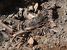 Почему пропали «хоббиты»: ученые сделали удивительное открытие