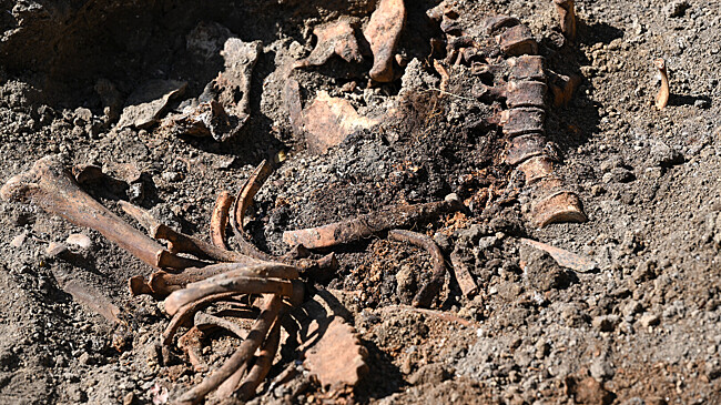 Почему пропали «хоббиты»: ученые сделали удивительное открытие