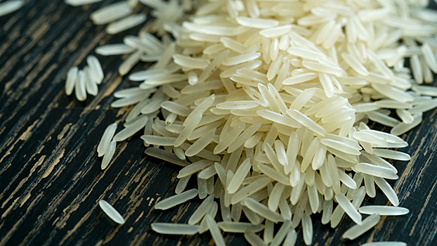 На Кубани запасы риса-сырца достигли максимума за четыре года