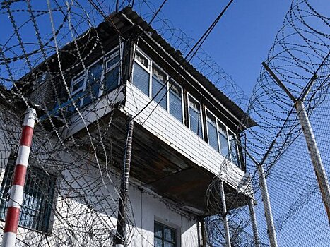 Пытавшиеся сбыть 312 кг кокаина мужчины получили по 12 лет колонии