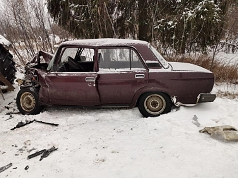 В костромской деревне грузовик смял отечественную легковушку