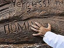 Менеджмент истории