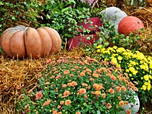 Лекцию о здоровом питании подготовили для получателей соцуслуг 