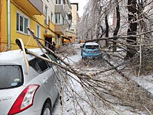   Непогода оставила жителей Владивостока без света, отопления и интернета  