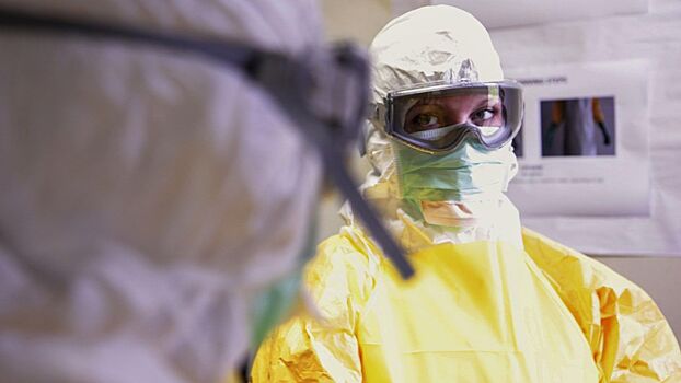 Эксперты: человечество не готово к пандемии грибковых инфекций