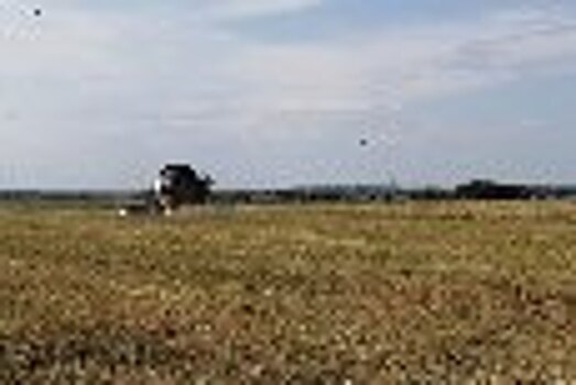 В учреждениях ГУФСИН России по Кемеровской области – Кузбассу стартовала уборочная кампания