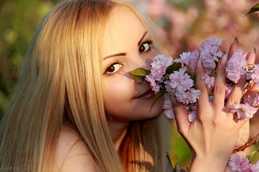 Почему людям нравятся милые вещи и животные? – ответ ученых