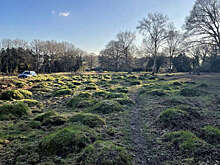 PNAS: животные формируют ландшафт Земли