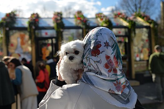 Впервые в семи округах Москвы на площадках «Пасхального дара» можно получить ветеринарную консультацию