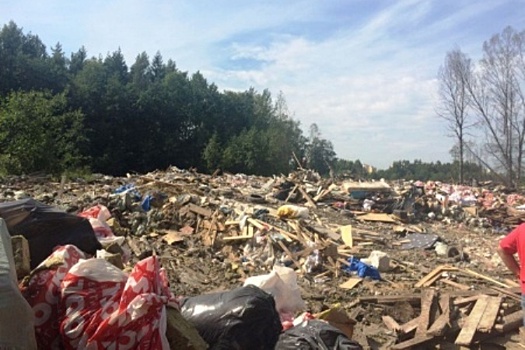 Нелегальную свалку под Мурино закрыли при поддержке бойцов Росгвардии