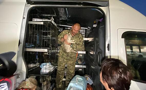 Волонтёры «Кошкин Дом Донецк» эвакуировали из Курской области ещё 115 животных