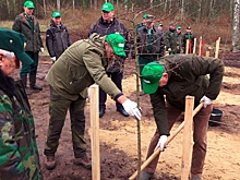 Губернатор Ленинградской области принял участие в акции «Сад памяти»
