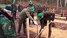 Губернатор Ленинградской области принял участие в акции «Сад памяти»
