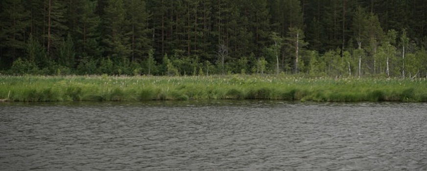 Роспотребнадзор предупредил об опасности купания в водоемах Свердловской области