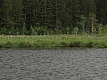 Роспотребнадзор предупредил об опасности купания в водоемах Свердловской области