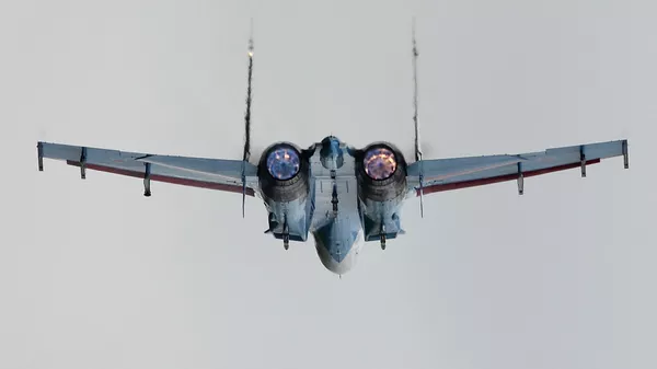 Истребитель Су-27 Балтфлота обнаружил у госграницы РФ Р-3С Orion ВМС Германии