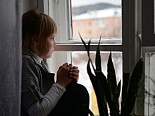 В Госдуме поддержали запрет усыновления в «недружественные страны»