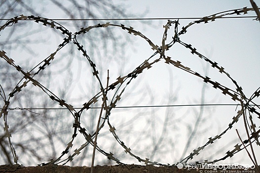 Прокурор запросил 33 года для фигурантов дела о гибели зэка в челябинской ИК-2