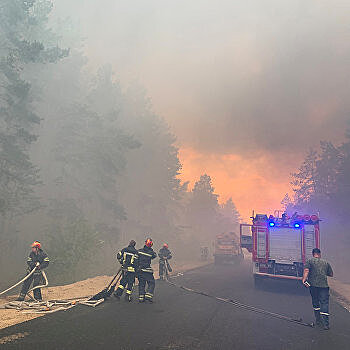 Страна в огне: на Украине в три раза увеличилось количество лесных пожаров
