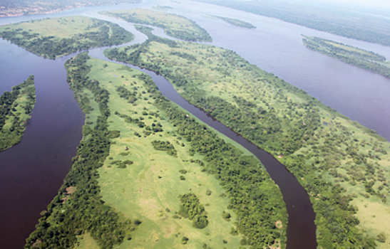 Торфяник в бассейне реки Конго оценили в 30 млрд тонн накопленного углерода