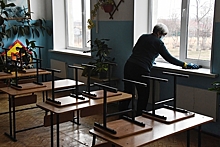 Названы последствия пандемии для российского образования