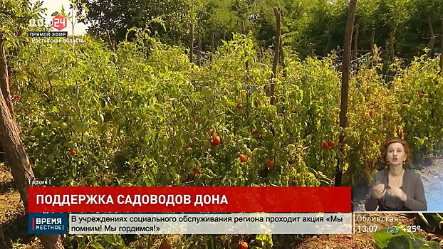 В планах &ndash; поддержка садоводов по вопросу межевания земельных участков