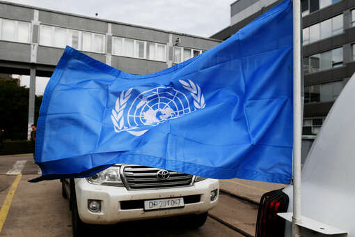 Постпред Британии в ООН Вудворд: Великобритания выступает за членство ряда стран в СБ ООН